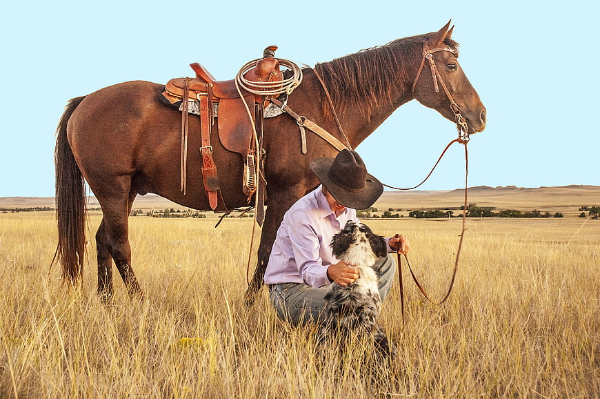 Cowboy kneeling with dog and saddled horse in golden field