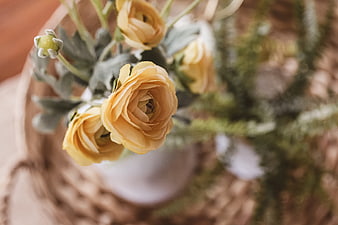 Close-up of yellow ranunculus flowers in a rustic vase