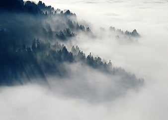 Misty Mountain Forest Landscape with Fog and Pine Trees