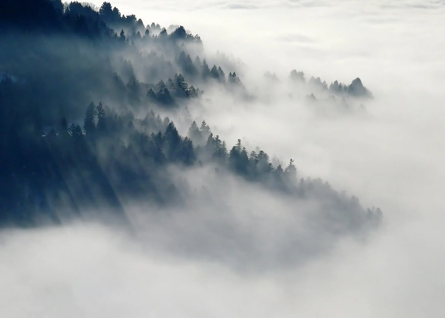 Misty Mountain Forest Landscape with Fog and Pine Trees
