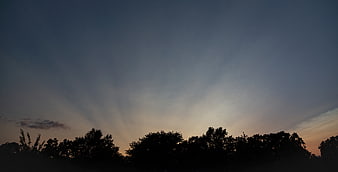 Silhouette of trees against a dramatic twilight sky with sun rays