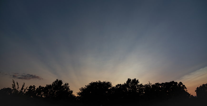 Silhouette of trees against a dramatic twilight sky with sun rays