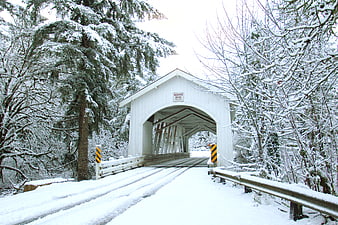 Snowy White Covered Bridge in Winter Forest