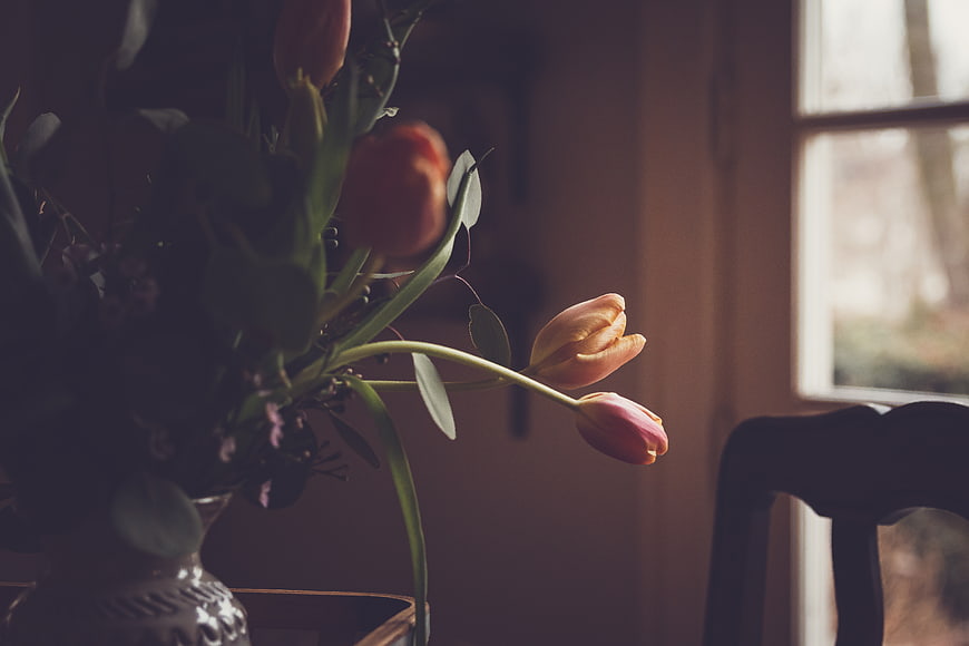 Moody Pink Tulips in Vase by Window