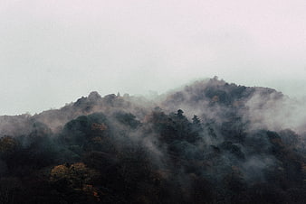 Misty Mountain Forest Landscape with Fog and Autumn Trees