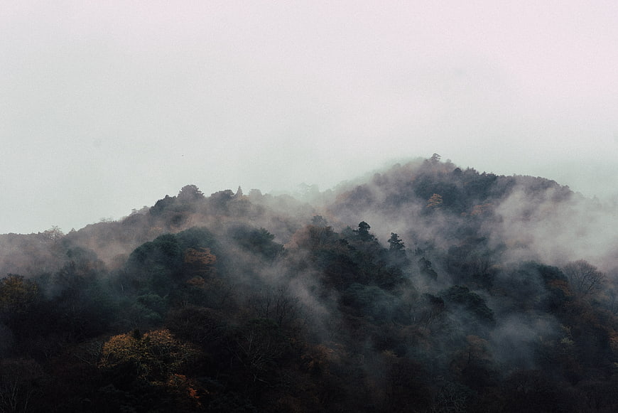 Misty Mountain Forest Landscape with Fog and Autumn Trees
