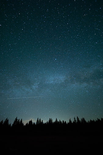 Milky Way Galaxy Over Dark Forest Silhouette at Night