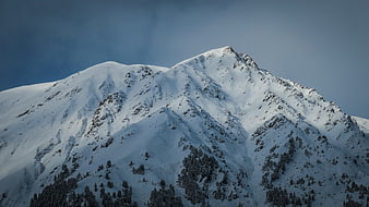 Snow-Covered Mountain Peak with Pine Trees