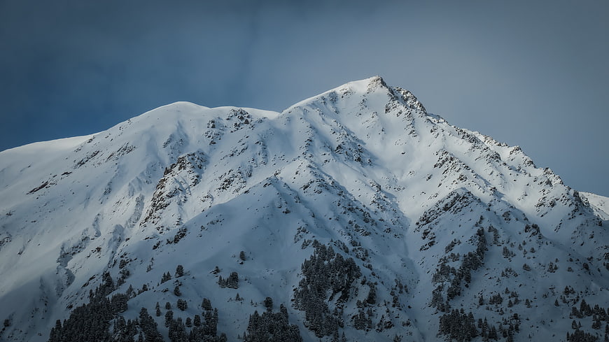 Snow-Covered Mountain Peak with Pine Trees