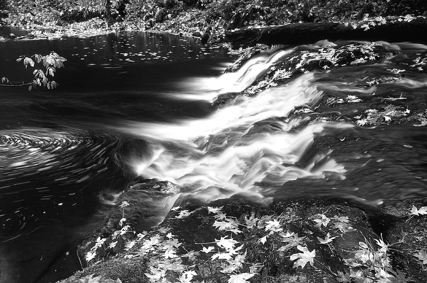 Black and white long exposure stream with autumn leaves