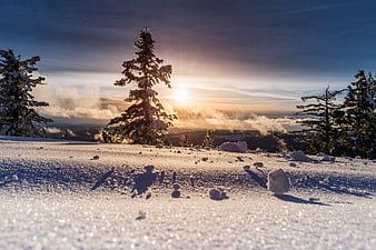 Sunrise Over Snowy Mountain Ridge With Pine Trees