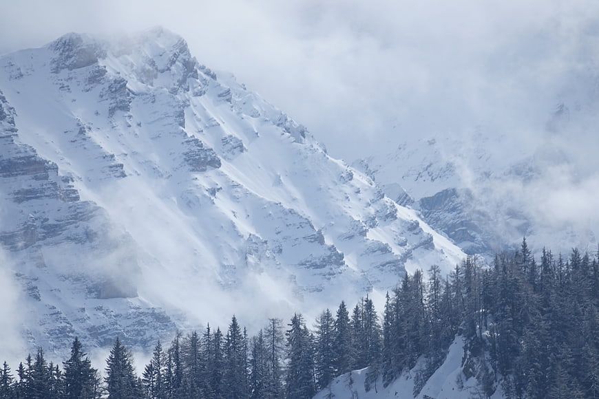 Snowy mountain peak with fog and pine forest