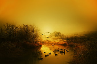 Golden Sunrise Over Misty River With Flying Birds And Swans