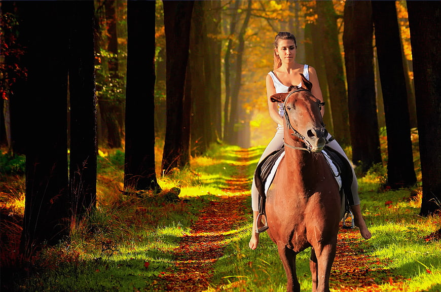 Woman Riding Chestnut Horse on Autumn Forest Trail