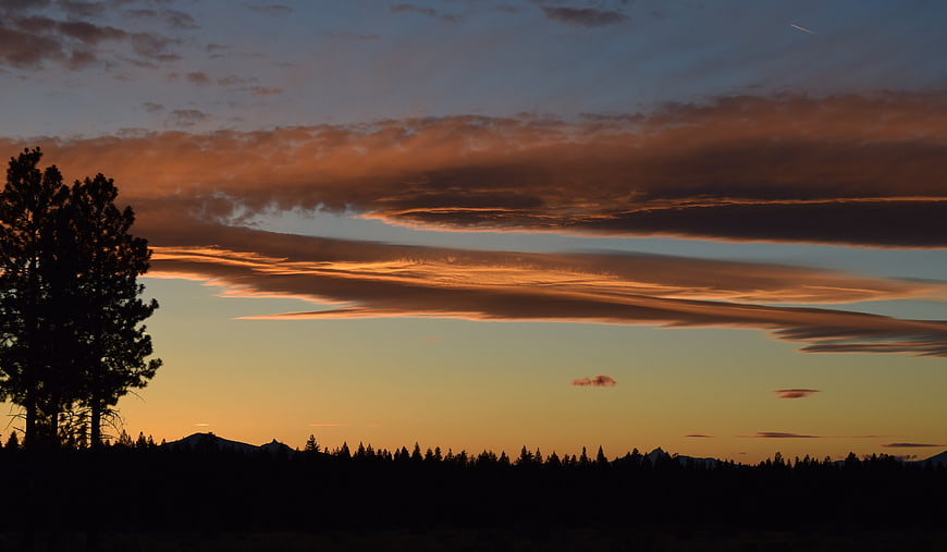 Dramatic sunset clouds over silhouetted pine forest landscape