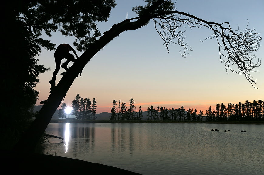 Silhouette of man climbing tree by lake at sunset