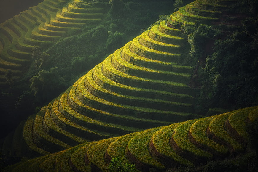 Lush Green Rice Terraces on Mountain Slopes