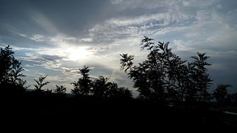 Silhouette of trees against a dramatic cloudy sky with sun rays