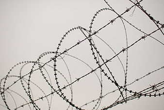 Barbed wire fence against gray sky background