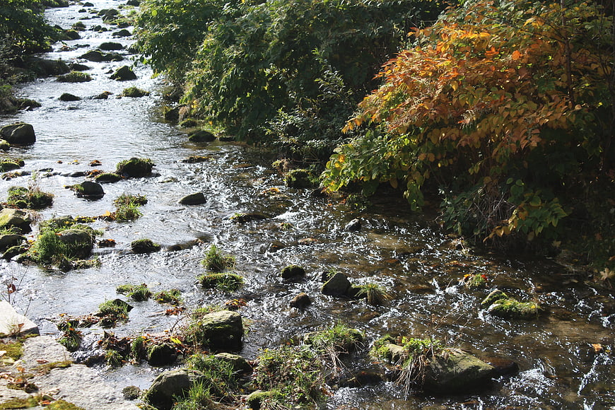 Autumn Mountain Stream with Mossy Rocks and Colorful Foliage