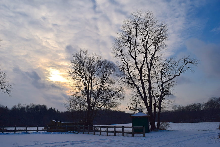 Winter Landscape with Snowy Field, Bare Trees, and Wooden Fence at Sunset