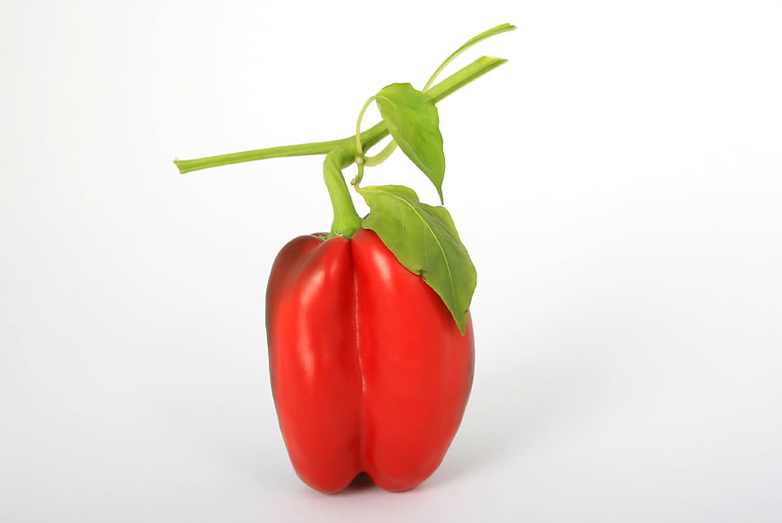 Fresh Red Bell Pepper Isolated on White Background