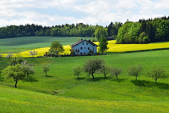 White House in Green Countryside with Yellow Fields