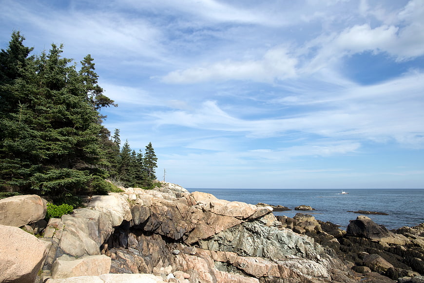 Rocky Coastal Cliff with Pine Trees and Blue Ocean View