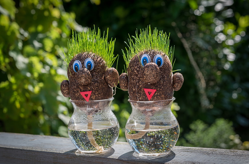 Cute Grass Head Figurines in Glass Vases