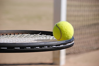 Close-up of yellow tennis ball on racket edge