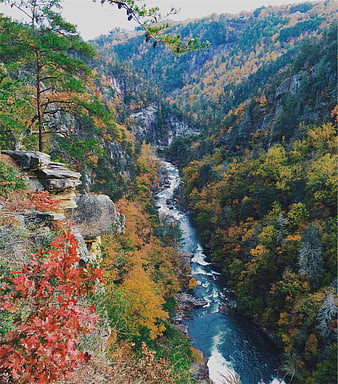 Scenic autumn river valley with colorful foliage and rocky cliffs