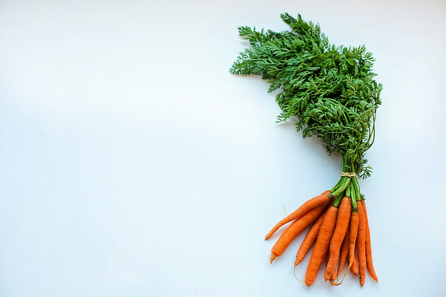 Fresh Organic Carrots with Green Tops on White Background