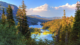 Scenic Mountain River Valley with Pine Forest and Blue Sky