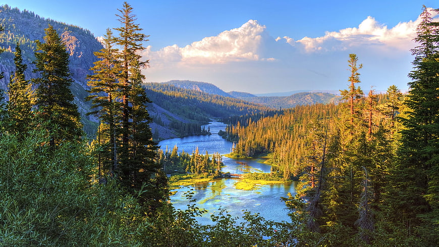Scenic Mountain River Valley with Pine Forest and Blue Sky