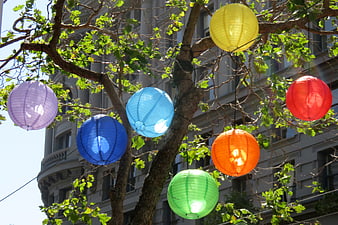 Colorful paper lanterns hanging in a tree branch