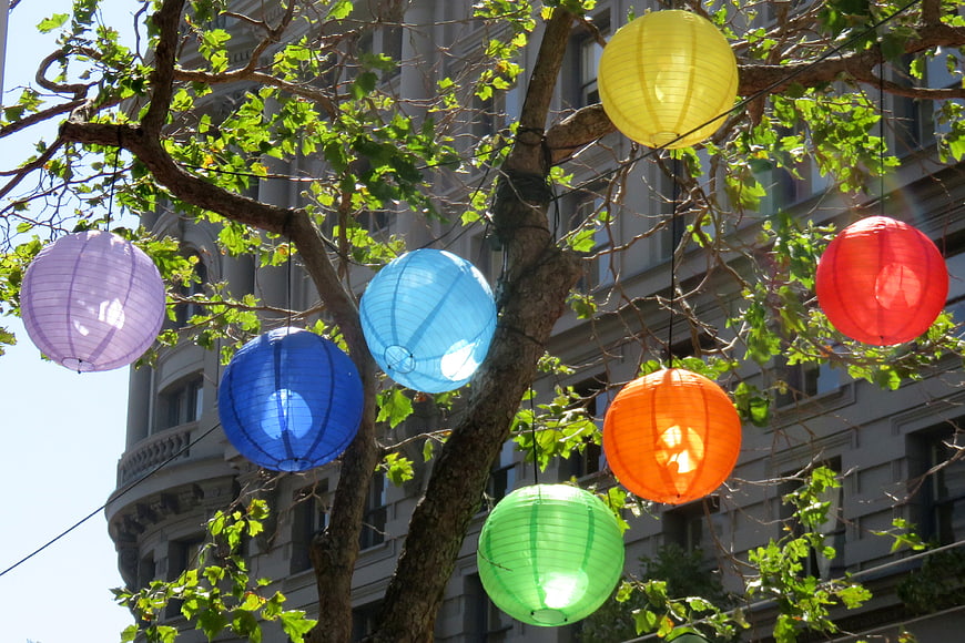 Colorful paper lanterns hanging in a tree branch