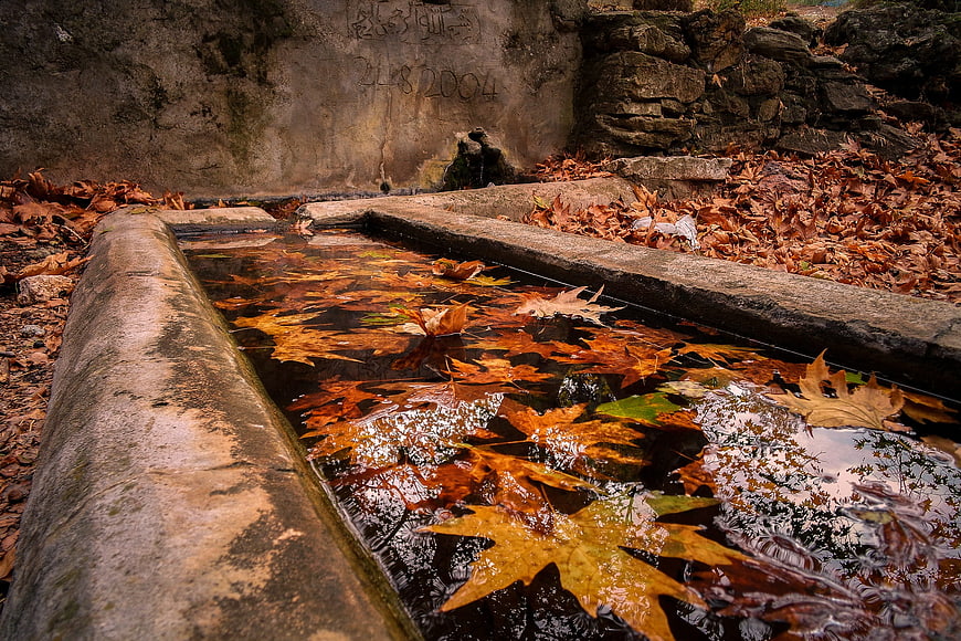 Autumn leaves floating in a rustic stone fountain