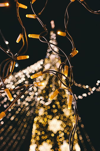 Christmas lights bokeh background with blurred tree