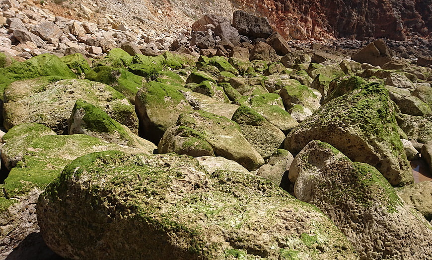 Moss-covered rocks on a rugged coastal landscape