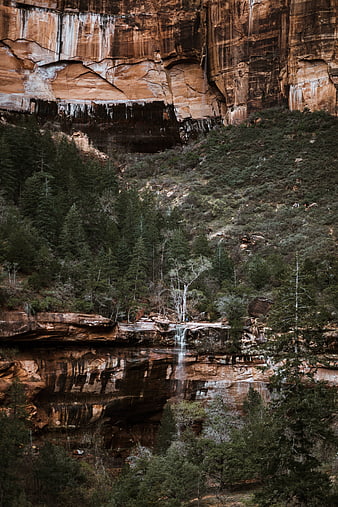 Dramatic red rock canyon with waterfall and pine forest