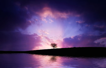 Dramatic purple sunset over lake with silhouetted tree and birds