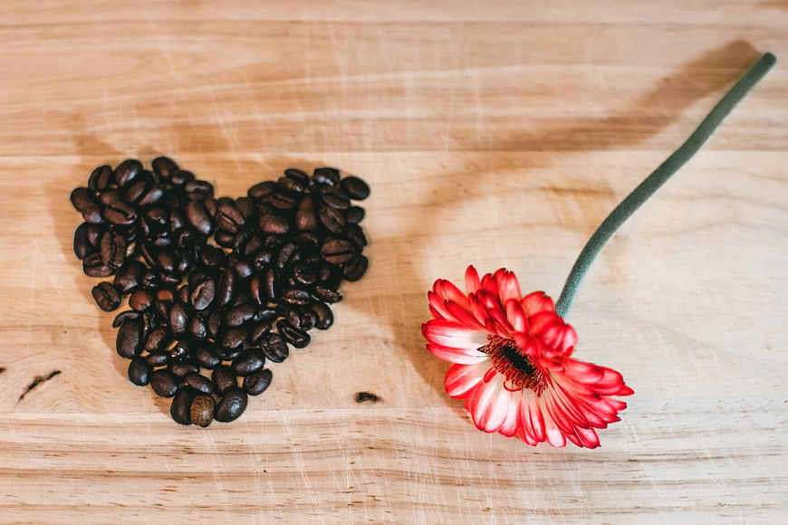 Coffee Beans Heart Shape with Red Gerbera Flower on Wood