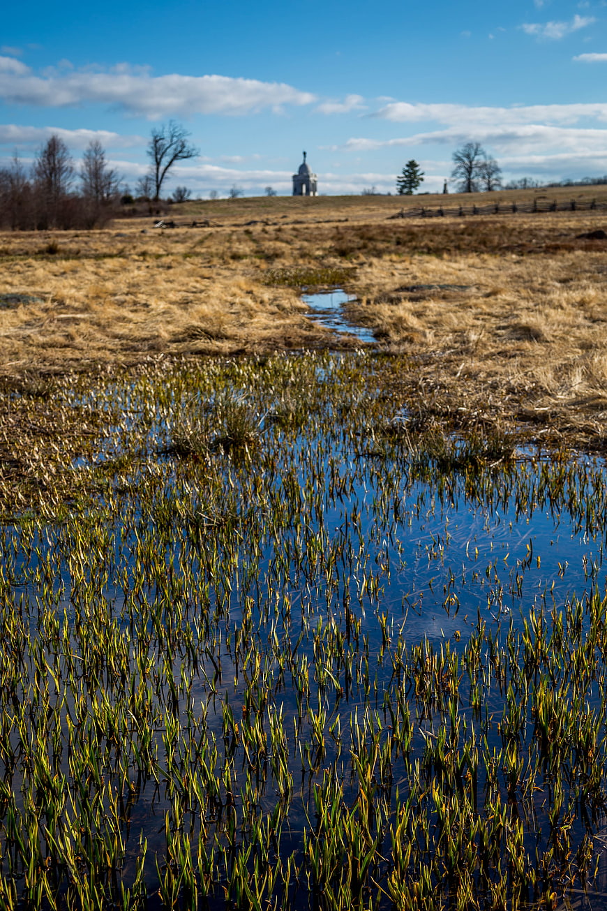 Wetland Marsh with Distant White Building and Blue Sky