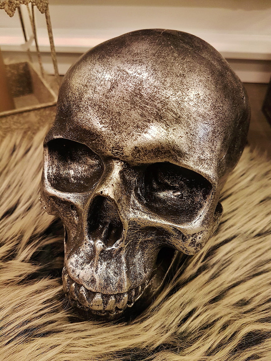 Metallic silver skull on fur texture background