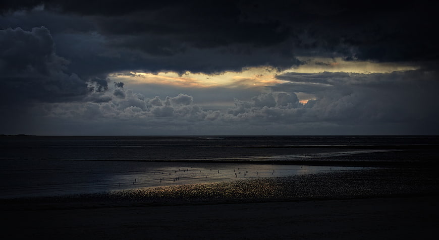 Dramatic Stormy Sunset Over Dark Ocean Beach With Birds