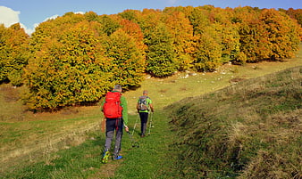 Two Hikers Walking on a Trail Through Autumn Forest in Lessinia, Italy