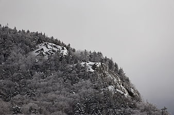 Snowy Mountain Ridge with Foggy Forest Landscape