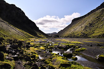 Mossy volcanic valley with stream in Iceland