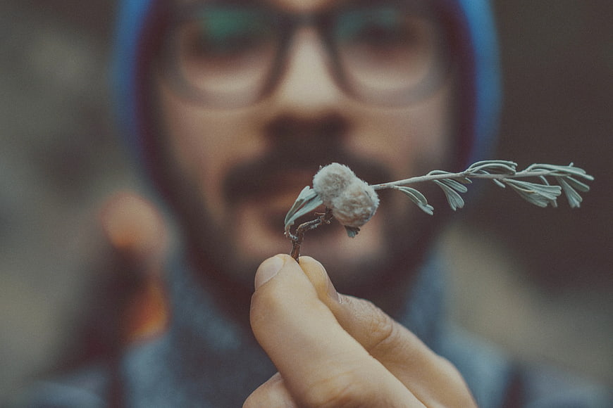 Man holding small plant sprig with shallow depth of field