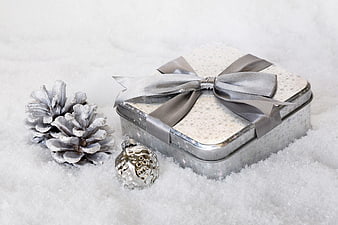 Silver Christmas Gift Box in Snow with Pinecone